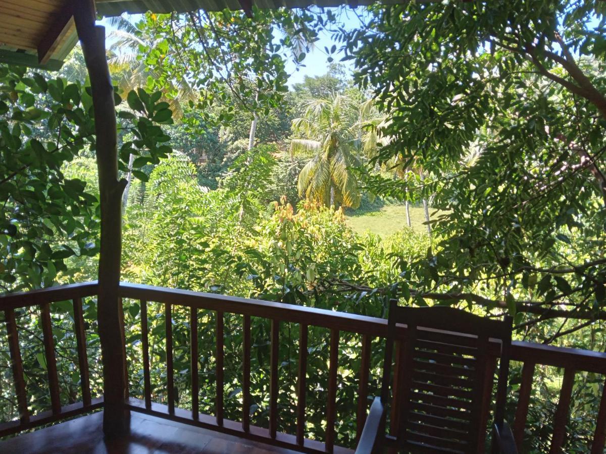 Cinnamon View Lodge Mirissa Exterior photo